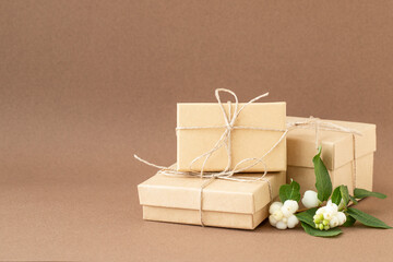 Ecological gift boxes with snowberry on brown background