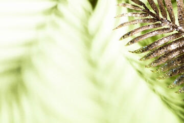 Palm leaves and shadows on a color wall background.