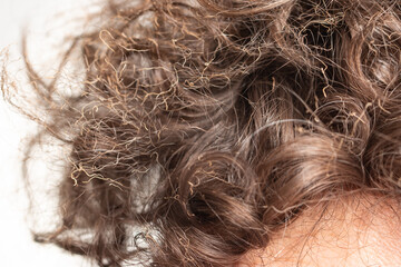 burnt hair on the head as a background