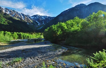 信州 上高地　新緑の季節