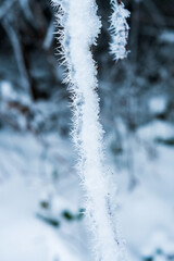 Ice - Frost Kristalle