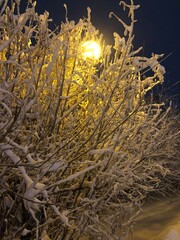 lantern like the moon