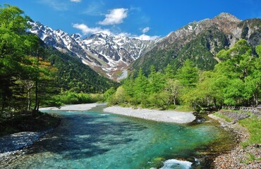 信州 上高地　新緑の季節