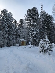 rural toilet