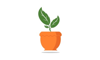 Plant in a pot for house decoration vector