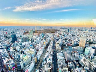 渋谷からご覧になった東京景色