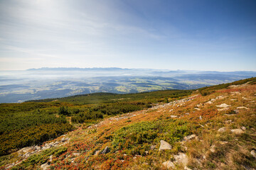 Fototapeta na wymiar View of the Tatra Mountains from Babia Gora on a sunny summer day