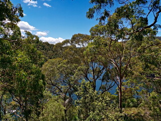 Fototapeta na wymiar Beautiful view of a creek with boats, mountains, trees, blue sky with light clouds in the background, Bobbin Head, Ku-ring-gai Chase National Park, New South Wales, Australia 