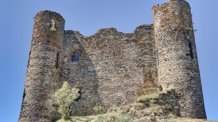Naklejka premium gorges de la Truyère et ruines du château d'Alleuze