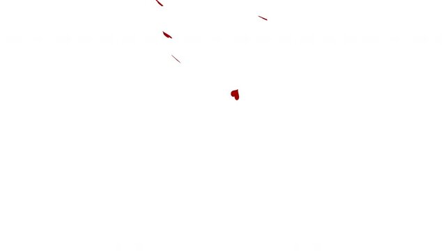 Heart confetti falling on transparent background. Flower petal in shape of heart. Valentines Day background.