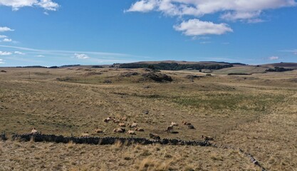 lac et cascade sur le plateau de l'Aubrac