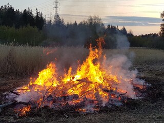 A bonfire burns dangerously in a field
