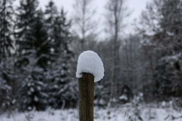 White snow caps on the fence posts