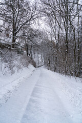 Naklejka premium A snowy road at Dresden's countryside, with a house on one side