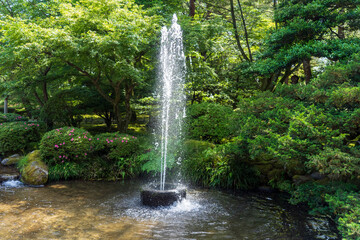 初夏の兼六園・噴水