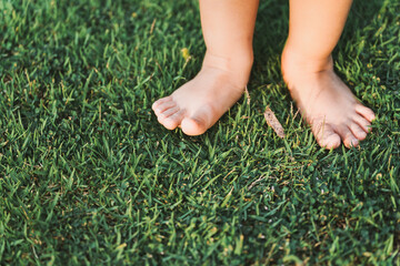 The little girl's feet tread the top of the grass on the green lawn. Some parts of the body. Learn about conceptual physical sensory. - obrazy, fototapety, plakaty