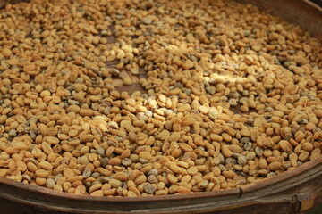 Luwak Coffee Bean