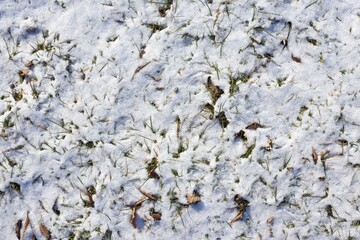 Snow close up