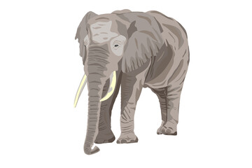 Fototapeta na wymiar African Elephant. Wild animal. Hand drawn sketch on white background vector illustration.
