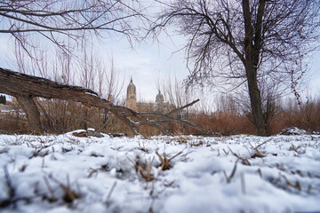 Salamanca cathedral, after the storm Filomena