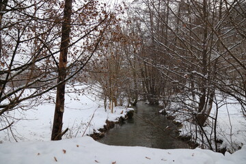 view over a creek in winter landscape
