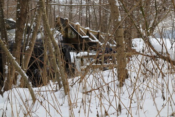 close up of branches and twigs in front a wooden water wheel with a wooden water intake