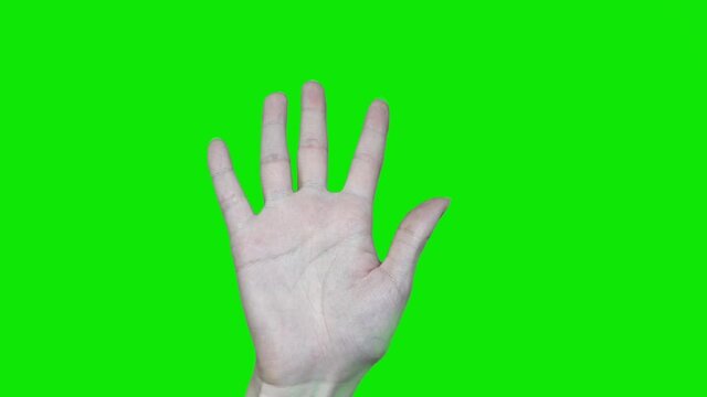 Number five finger sign. Green Chroma Key Background