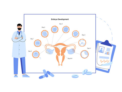 Embryo development concept