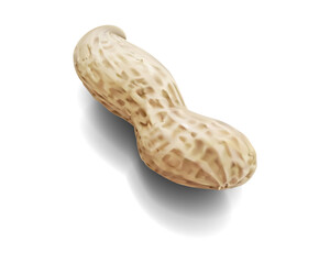 ピーナッツ(落花生)のイラスト/透明背景だからどんな背景にもマッチする!使いやすい!イラレブック