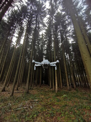 Drone in forest