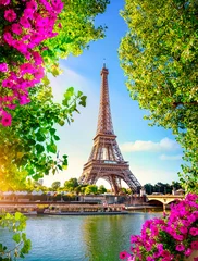Peel and stick wall murals Paris Eiffel Tower in spring