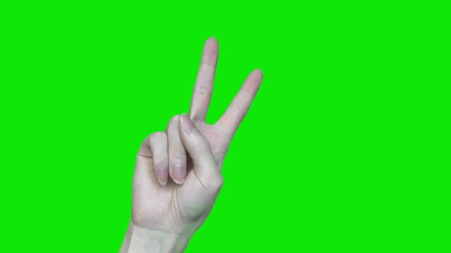 two hand sign or victory sign