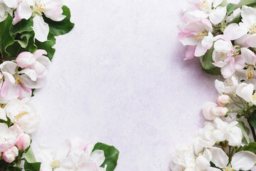 Frame with white apple blossom flowers over light lilac background. Flat lay, top view, copy space.