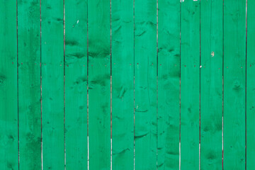 background, a fence made of green boards