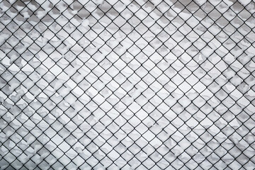 winter, iron mesh netting, all around in the snow