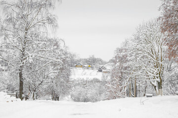 winter, all the trees in the vicinity of the village are covered with snow