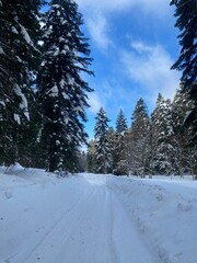 Gorski kotar in Croatia winter landscape