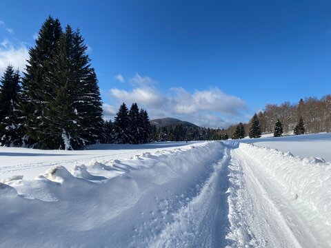 Gorski kotar in Croatia winter landscape