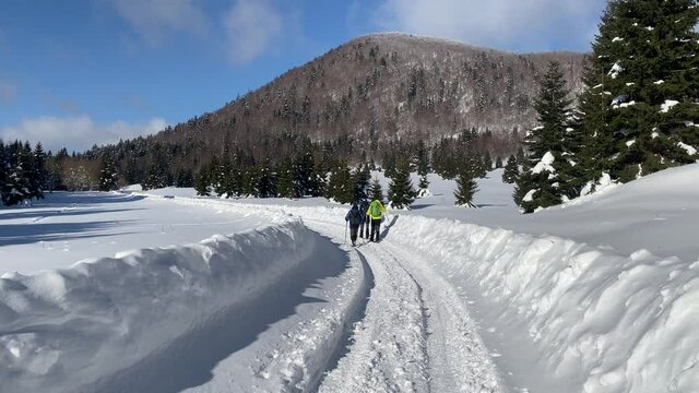 Hiker in Gorski kotar, Croatia in winter
