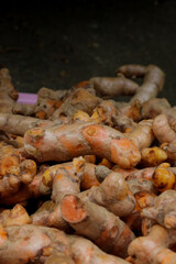 Turmeric herb for medicine in thailand