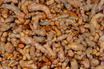 Turmeric herb for medicine in thailand