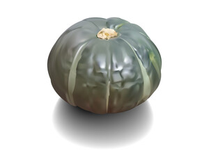 南瓜(かぼちゃ)イラスト/透明背景だからどんな背景にもマッチする!イラレブック