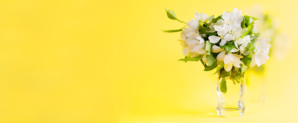 Bouquet of blooming white apple tree twigs on trendy yellow background. Color 2021 Illuminating. Mother's day, Valentine's Day, Birthday celebration concept. Copy space. Wide banner. Greeting card.