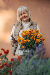 Happy senior woman taking care of flowers. Cheerful aged female gardener smiling and taking care of blooming plants against beige wall in yard. Hobby and gardening concept.