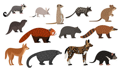 African animals set. Cartoon sugar glider, bilby quoll quokka otter red panda binturong coati dingo zoo creatures, wildlife characters collection isolated © ssstocker