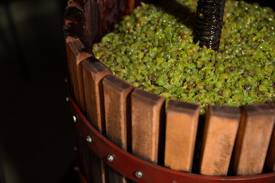 Wooden Wine Press With Grape Must Indoors, Closeup