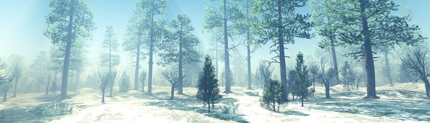 Winter forest in the rays of the sun, pine trees in the haze in winter, panorama of the winter forest, 3D rendering