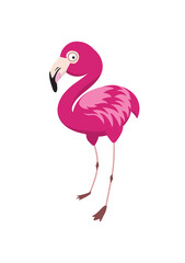 Cartoon Vector Pink Flamingo Character Isolated on White Background