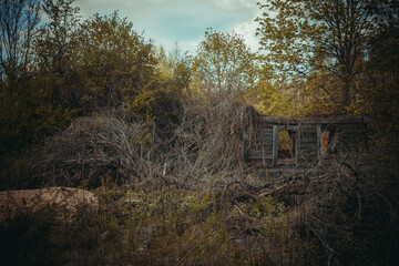 Obraz premium abandoned wooden houses Chernobyl zone