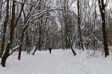 Park Śląski pokryty śniegiem. © Miroslaw